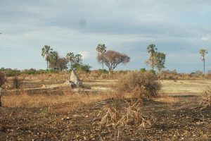 Two Tribes Meet in the Okavango Delta, Botswana