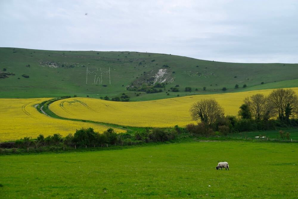 Exploring East Sussex