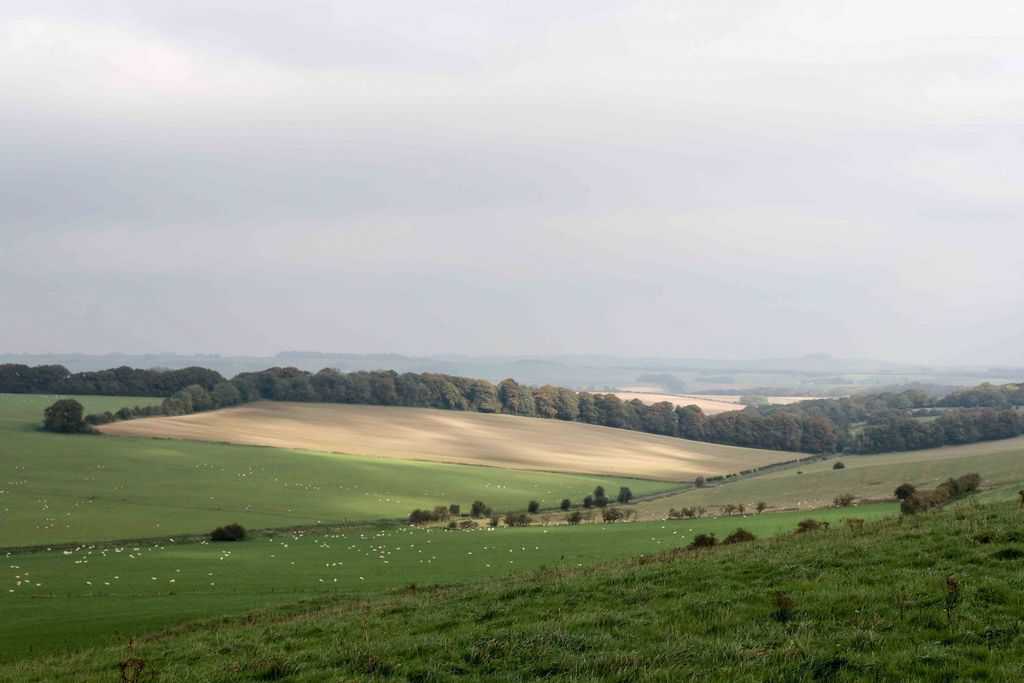 What to do and see in the North Wessex Downs